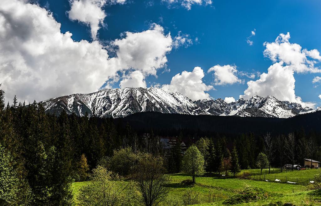 Zwijaczowka Bed and Breakfast Zakopane Exteriör bild