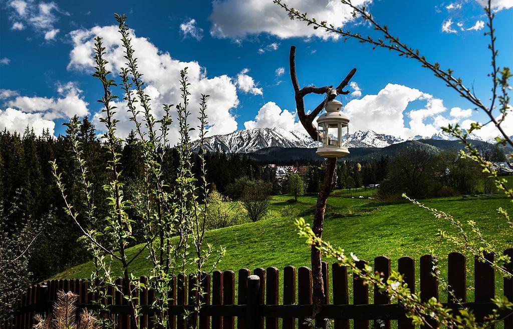 Zwijaczowka Bed and Breakfast Zakopane Exteriör bild